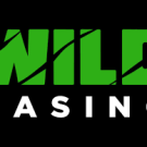 Wild Casino Review: Bonuses, Games, Payouts & Safety